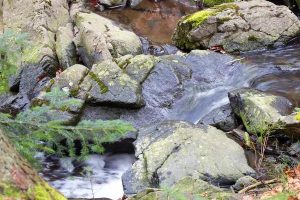 When to Call a Professional for Water Leaks Severna Park Issues
