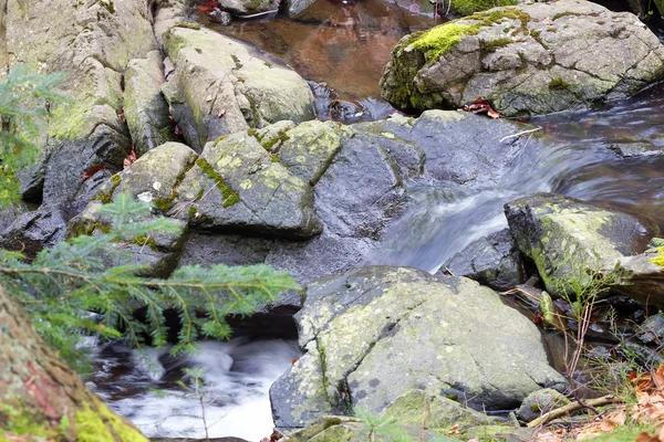 When to Call a Professional for Water Leaks Severna Park Issues