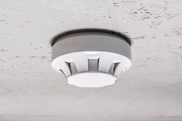 Protect Your Property with Effective Fire-Resistant Home Solutions